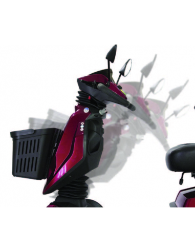 Scooter Elettrico per Disabili...